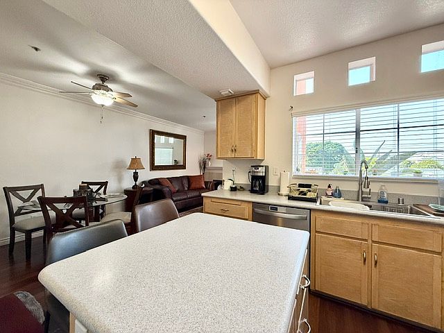 221 Donax Ave photo 4