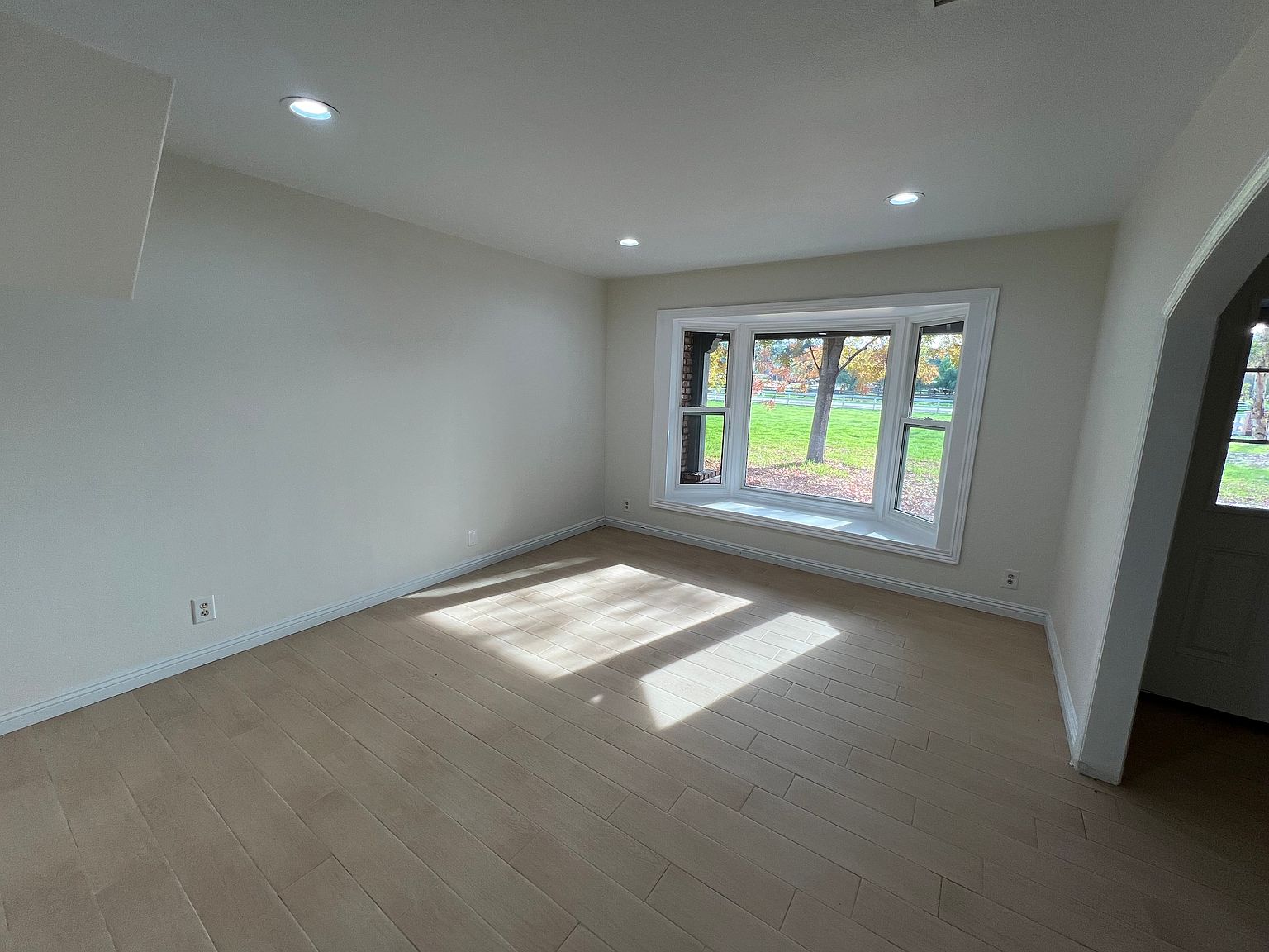 38195 Calle De Lobo photo 4