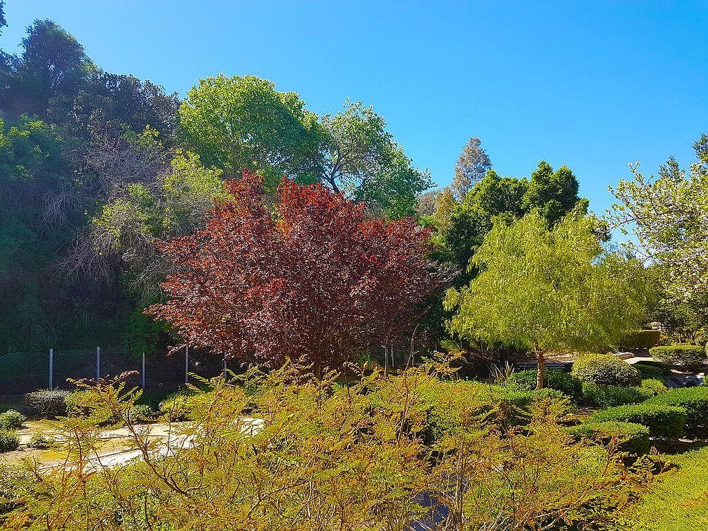 31625 Loma Linda Rd photo 4