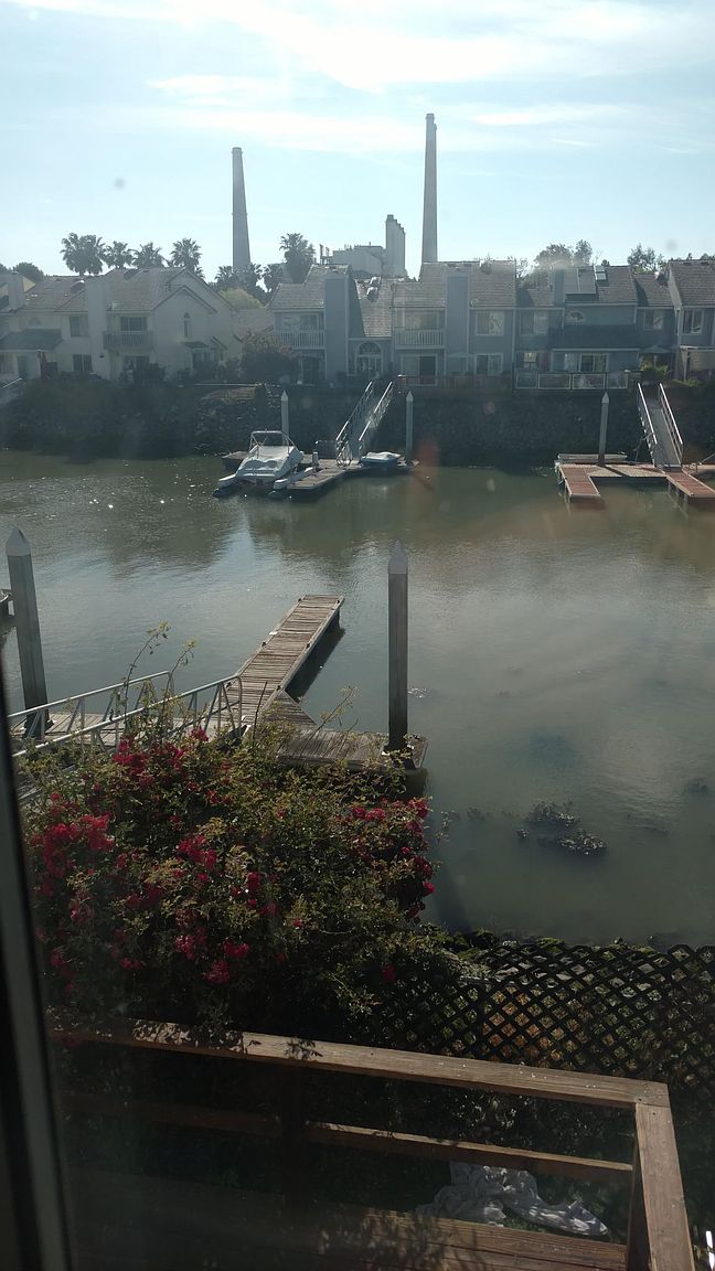 16 Pelican Ct photo 2
