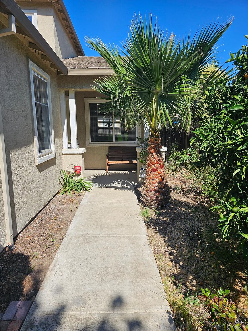 624 Aiello St photo 4