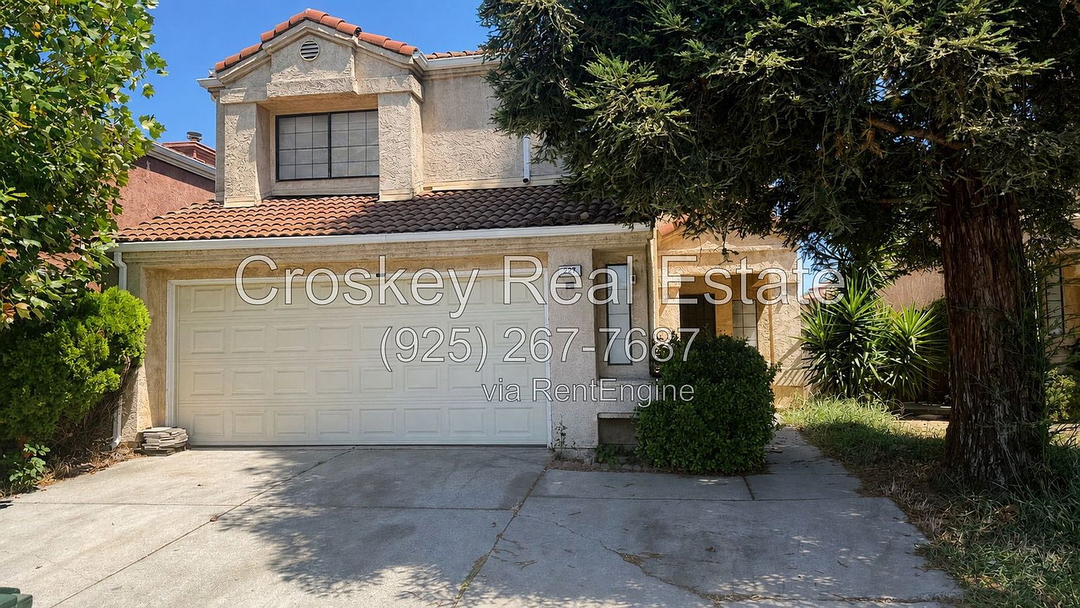 227 Rolfe Dr photo 2