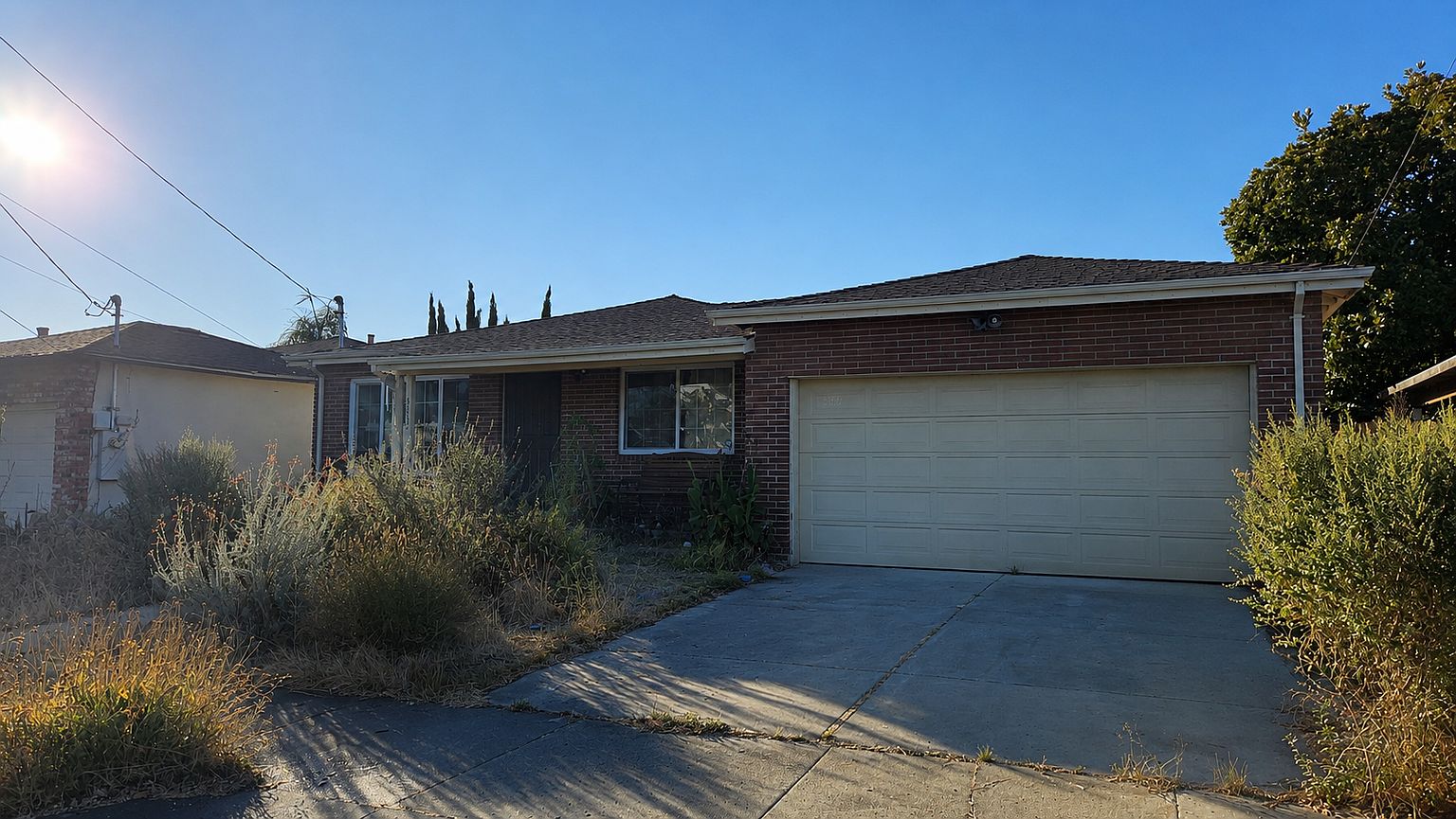 3882 Shasta Cir photo 3