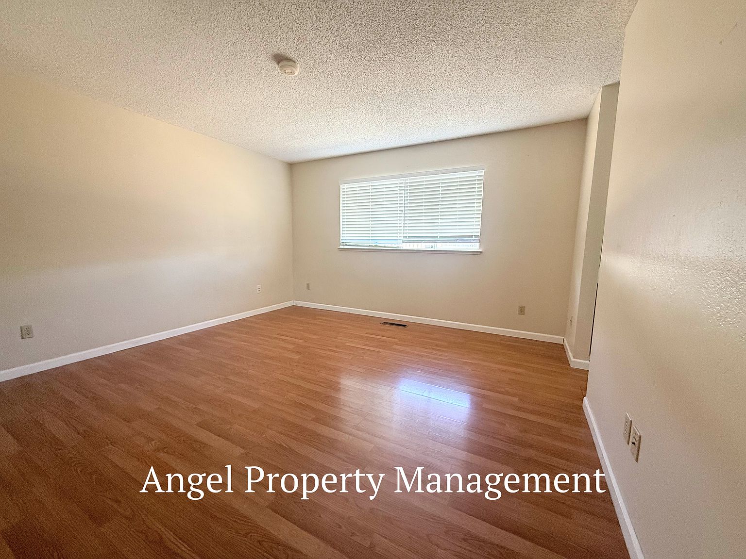 2208 Begonia Ct photo 5