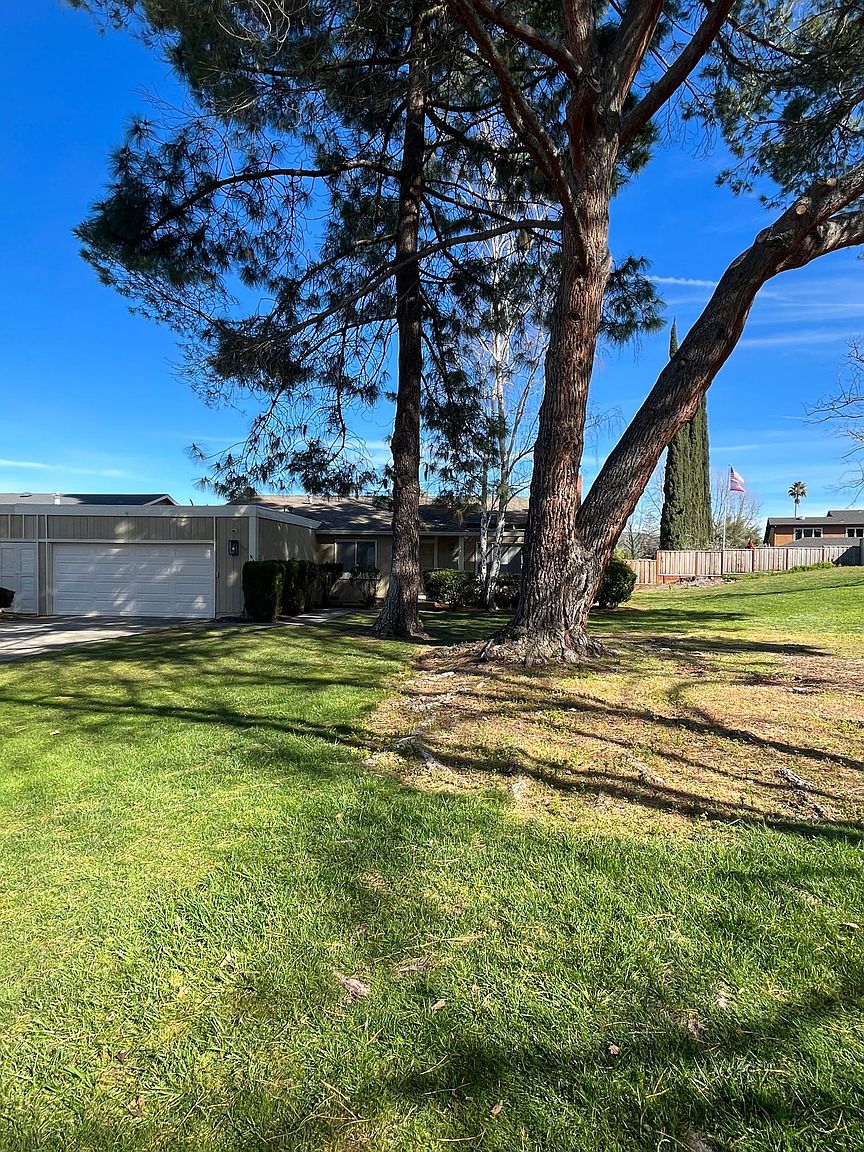 117 Mount Etna Dr photo 3