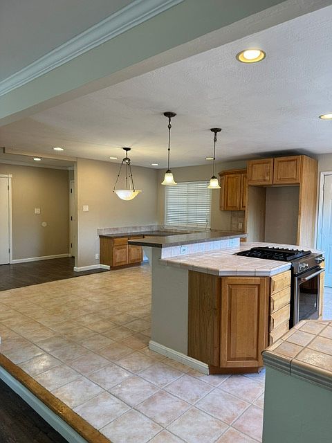 1328 Chimneywood Ct photo 2