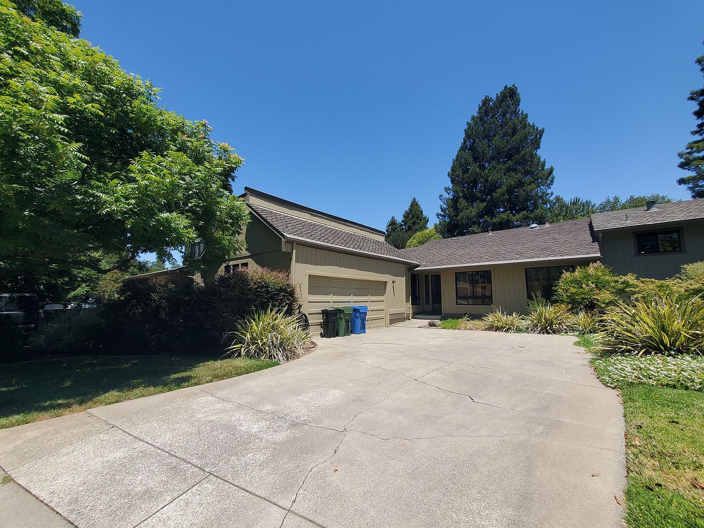 3113 Lippizaner Lane, Walnut Creek, CA 94598 photo 4