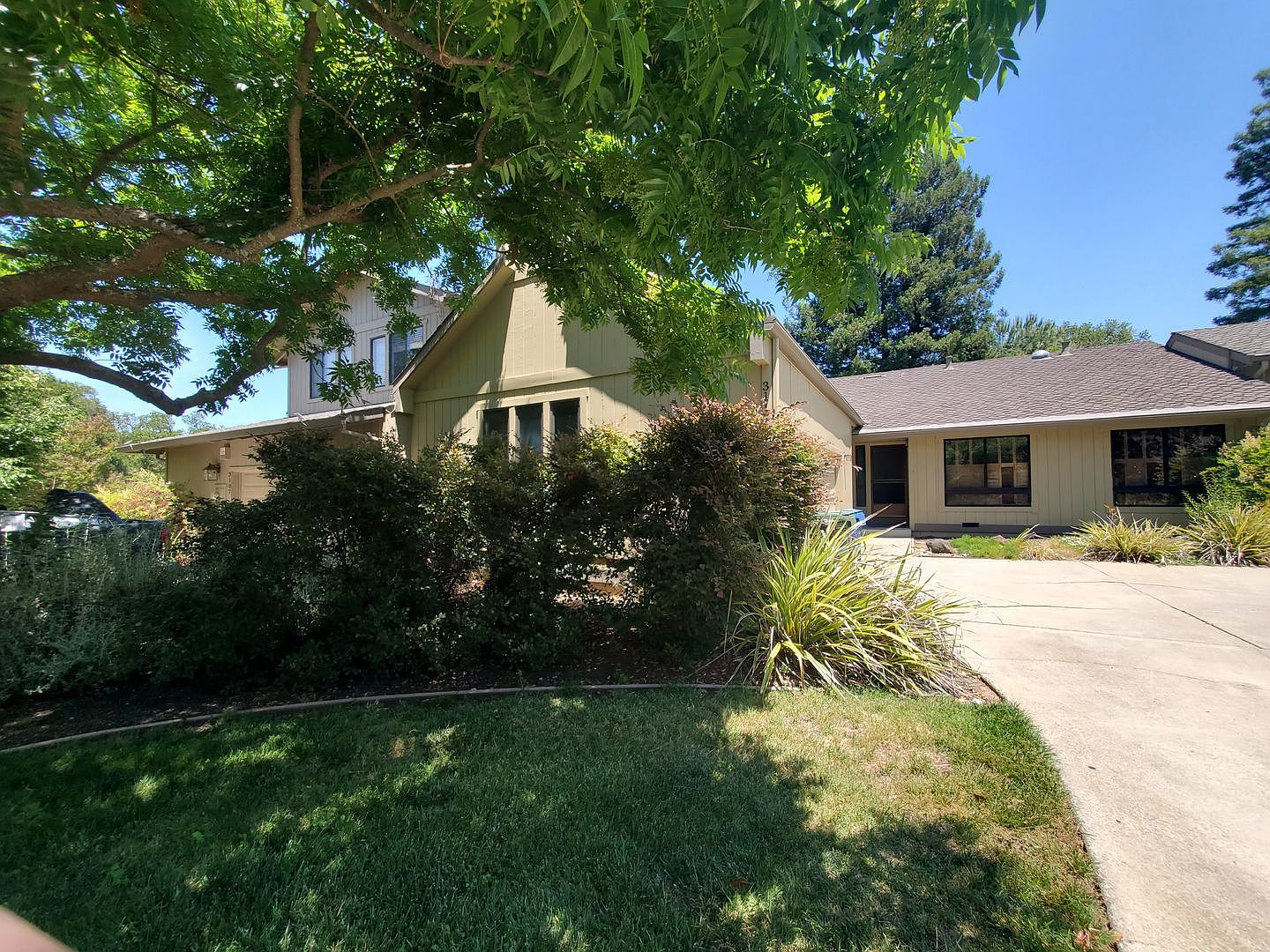3113 Lippizaner Lane, Walnut Creek, CA 94598 photo 3