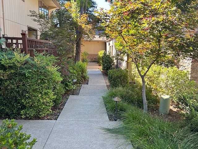 160 Alamo Sq photo 4