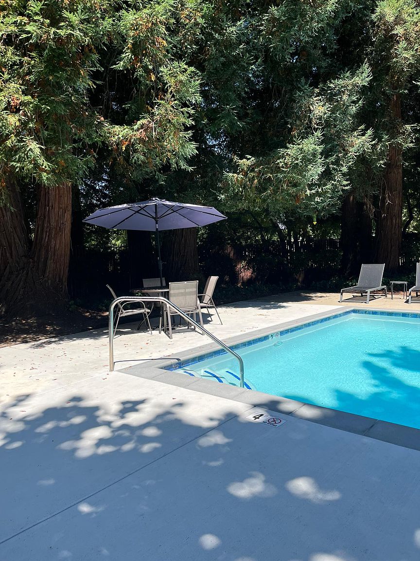 563 Sycamore Cir photo 5