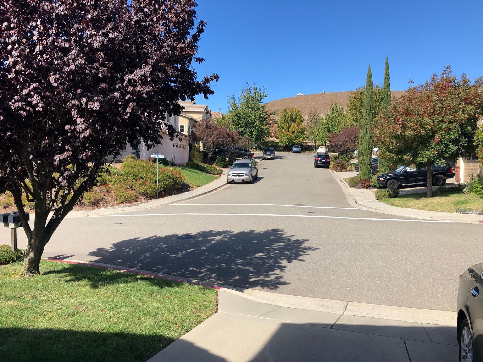 103 Woodcrest Dr photo 2