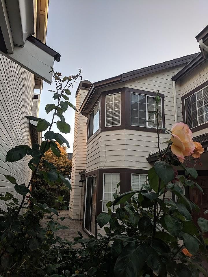 66 Springhaven Ct photo 5
