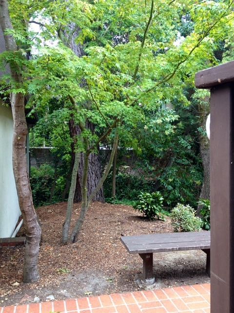 917 Hough Ave Lafayette, CA 94549 photo 5