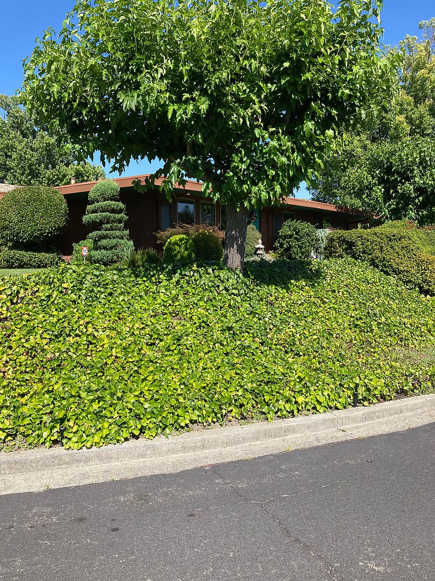 21 Freitas Dr photo 2