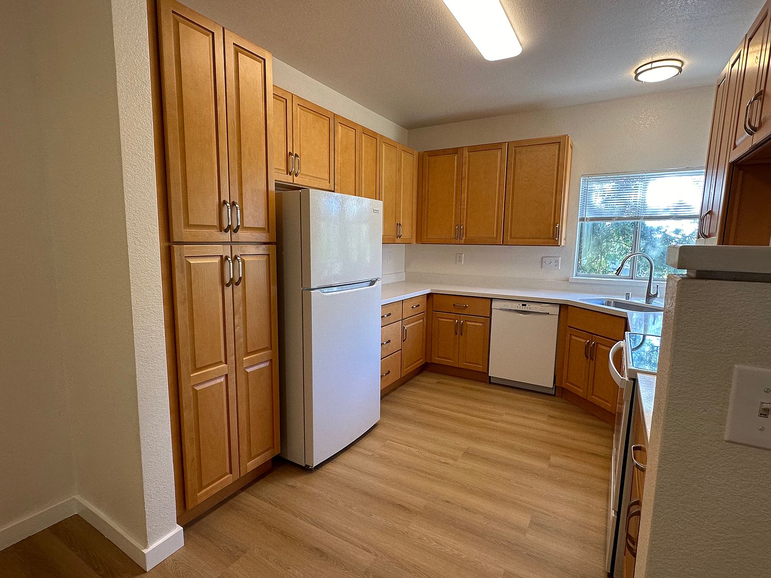 210 Dorada Ct photo 3