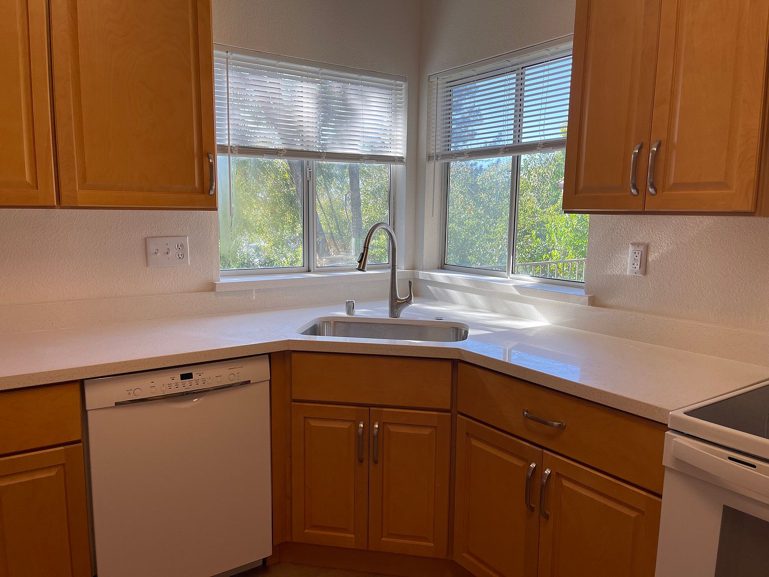 210 Dorada Ct photo 2