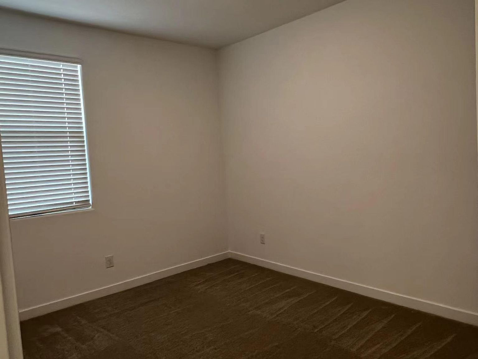 560 E Cactus Wren Dr photo 3