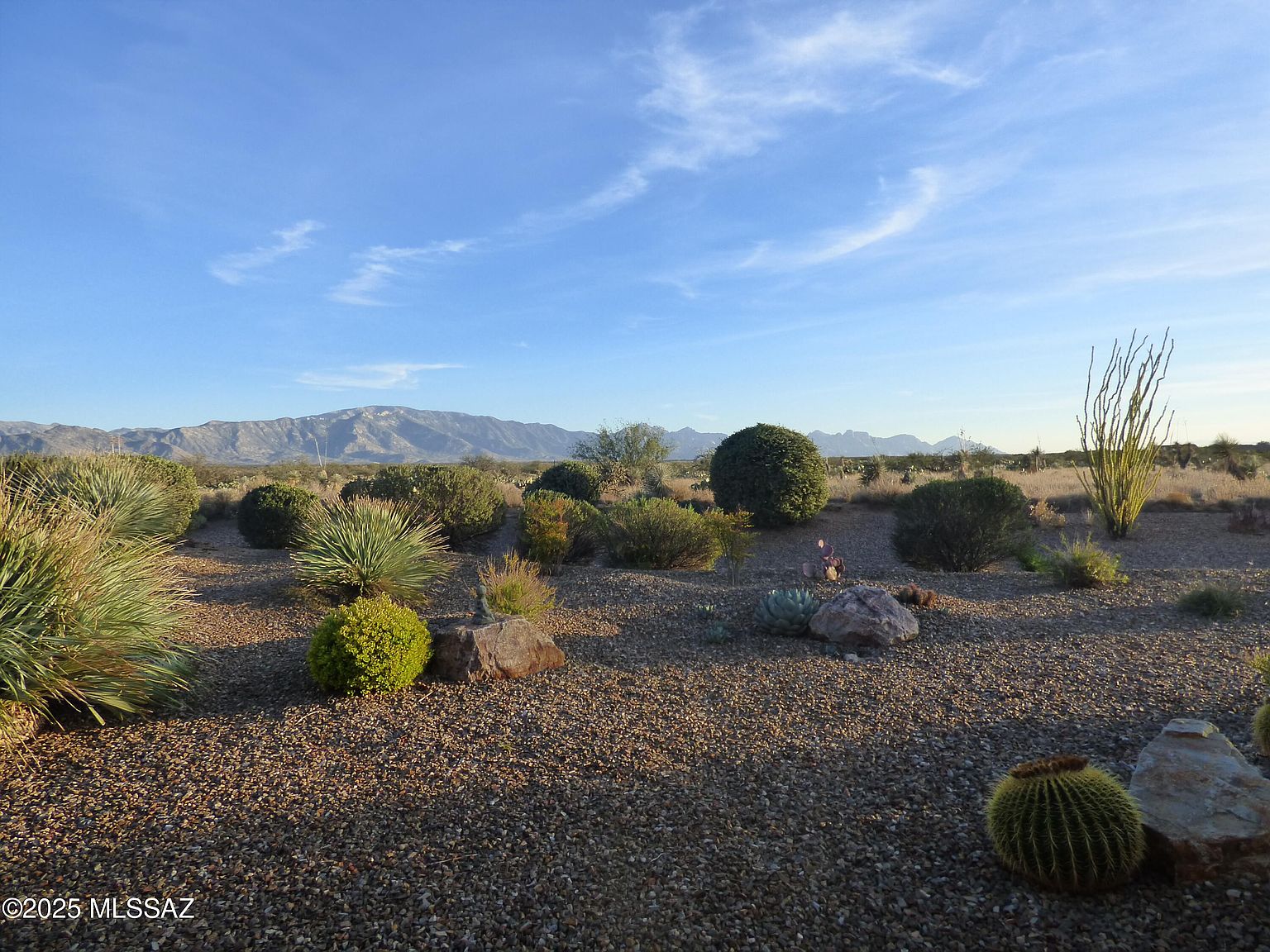 61217 E Arbor Basin Rd Oracle, AZ 85623 photo 2