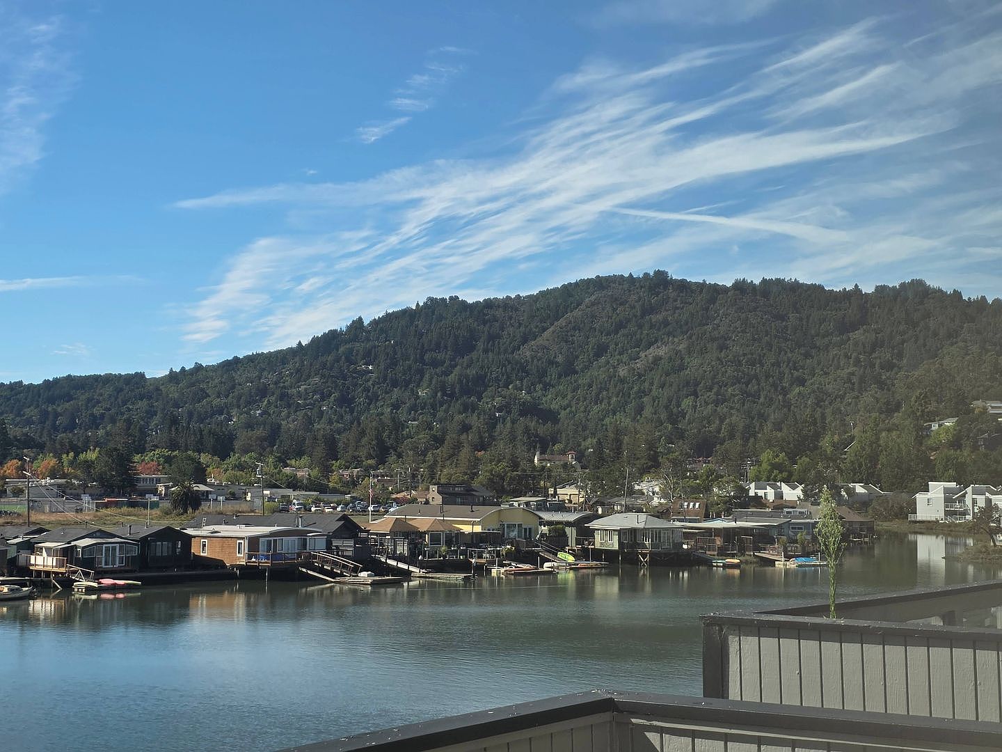 4BR/2BA Condo on S. Eliseo Dr · Greenbrae photo 3