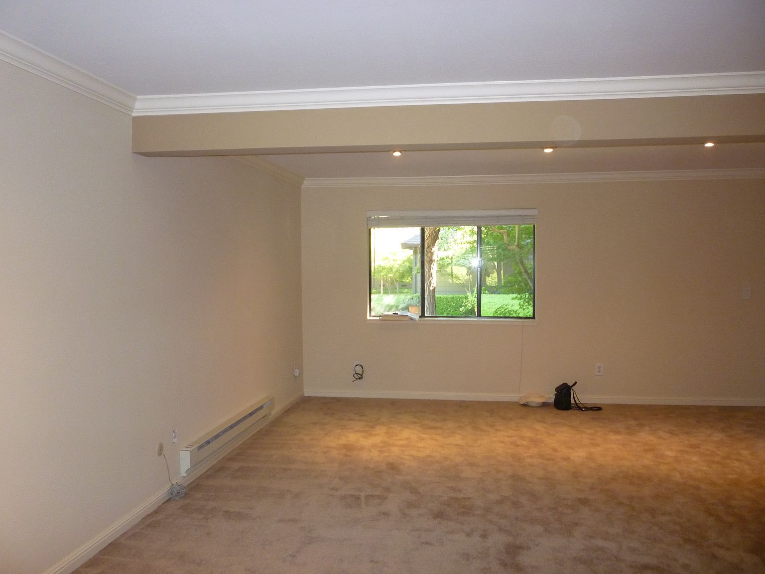 1BR/1BA Condo on Ashford Ave · Mill Valley photo 5