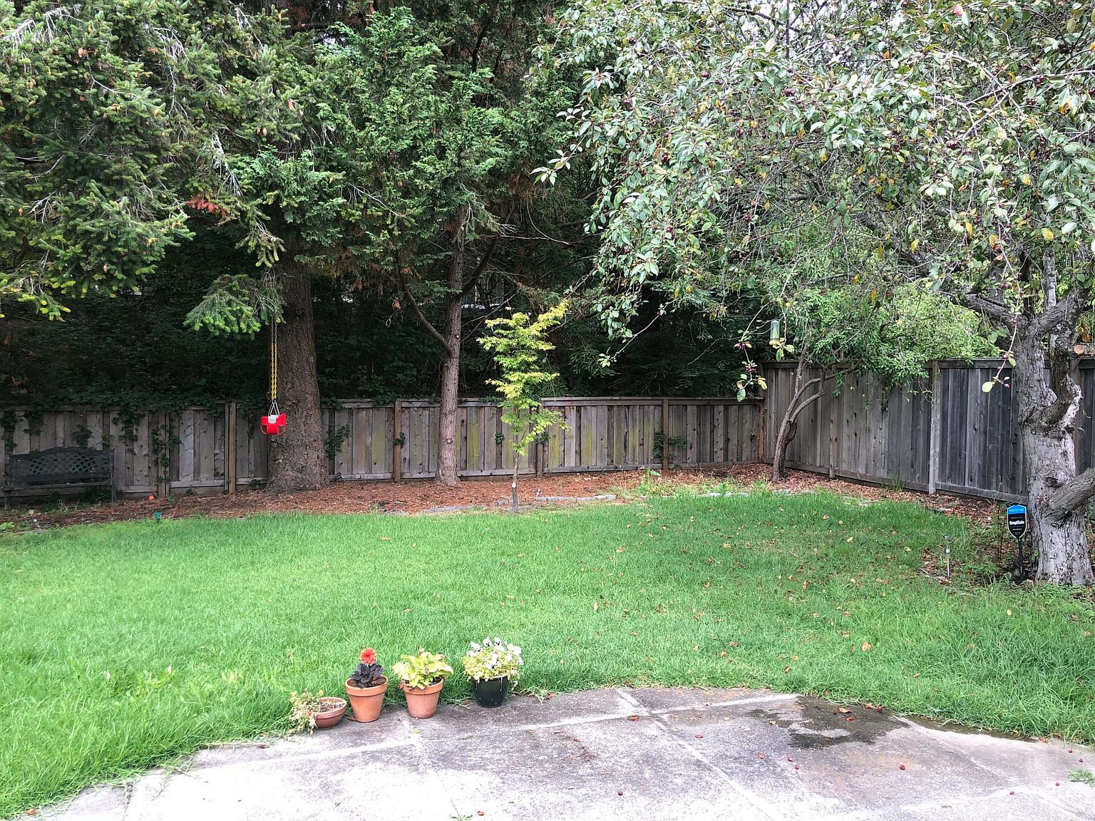185 Blackfield Dr photo 5