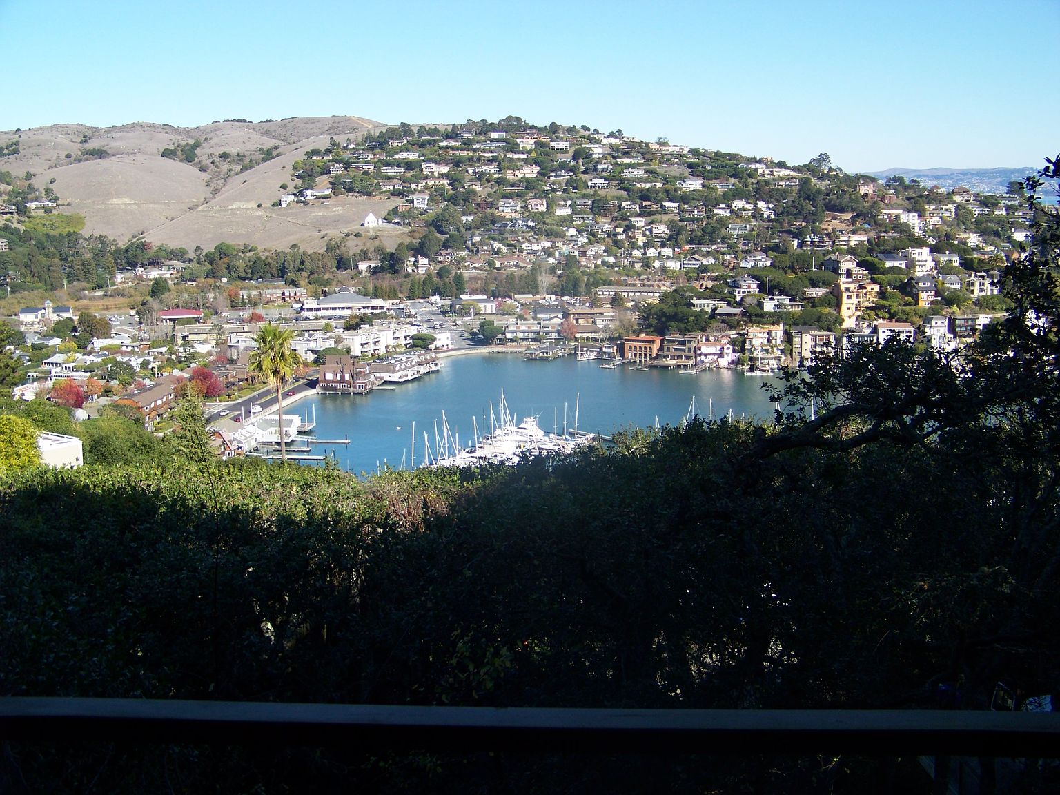 8 Fern Ave photo 4