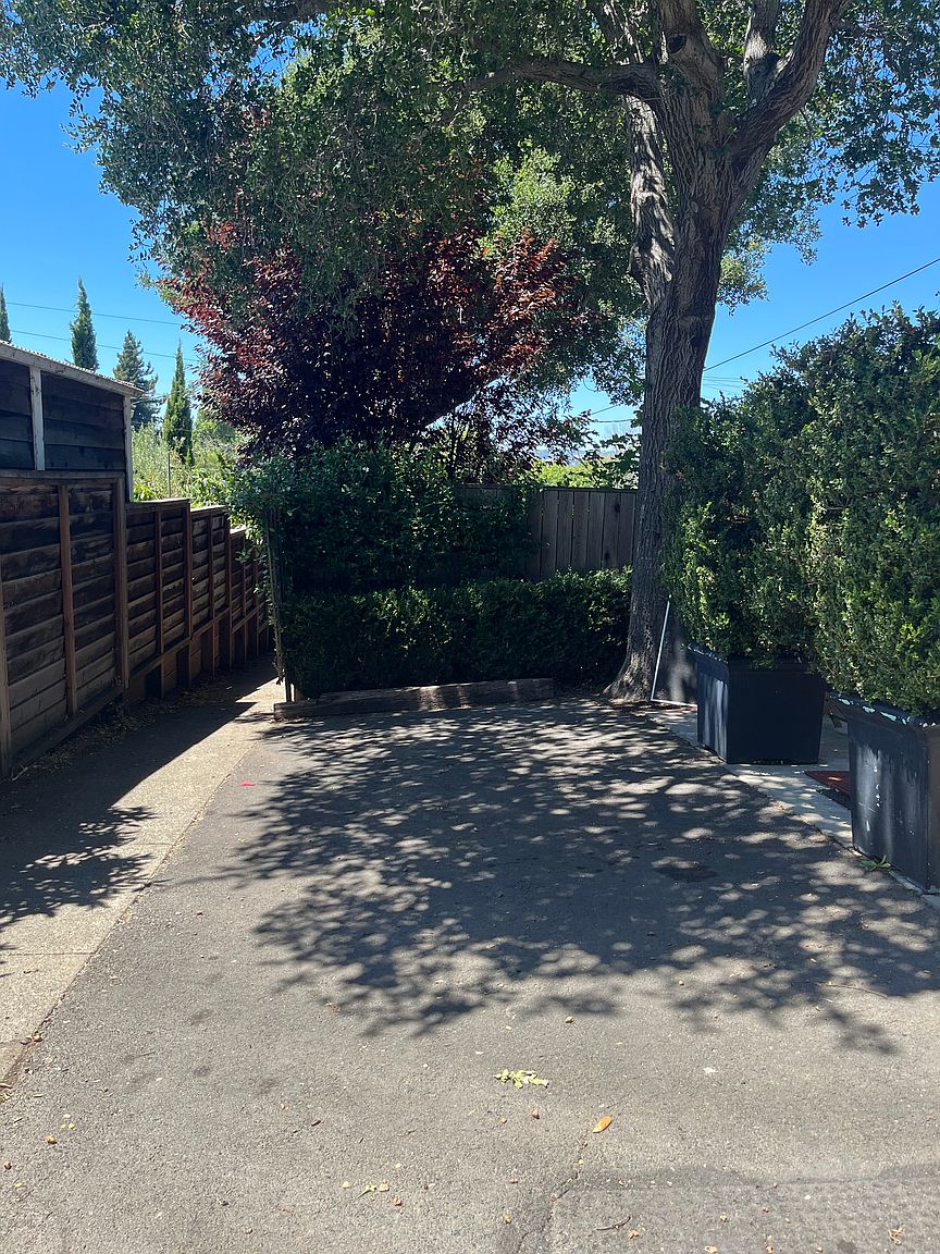 1101 Evans Ave photo 4