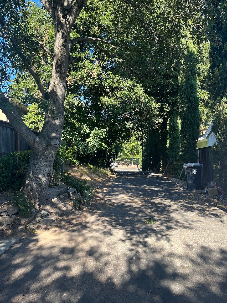 1101 Evans Ave photo 3