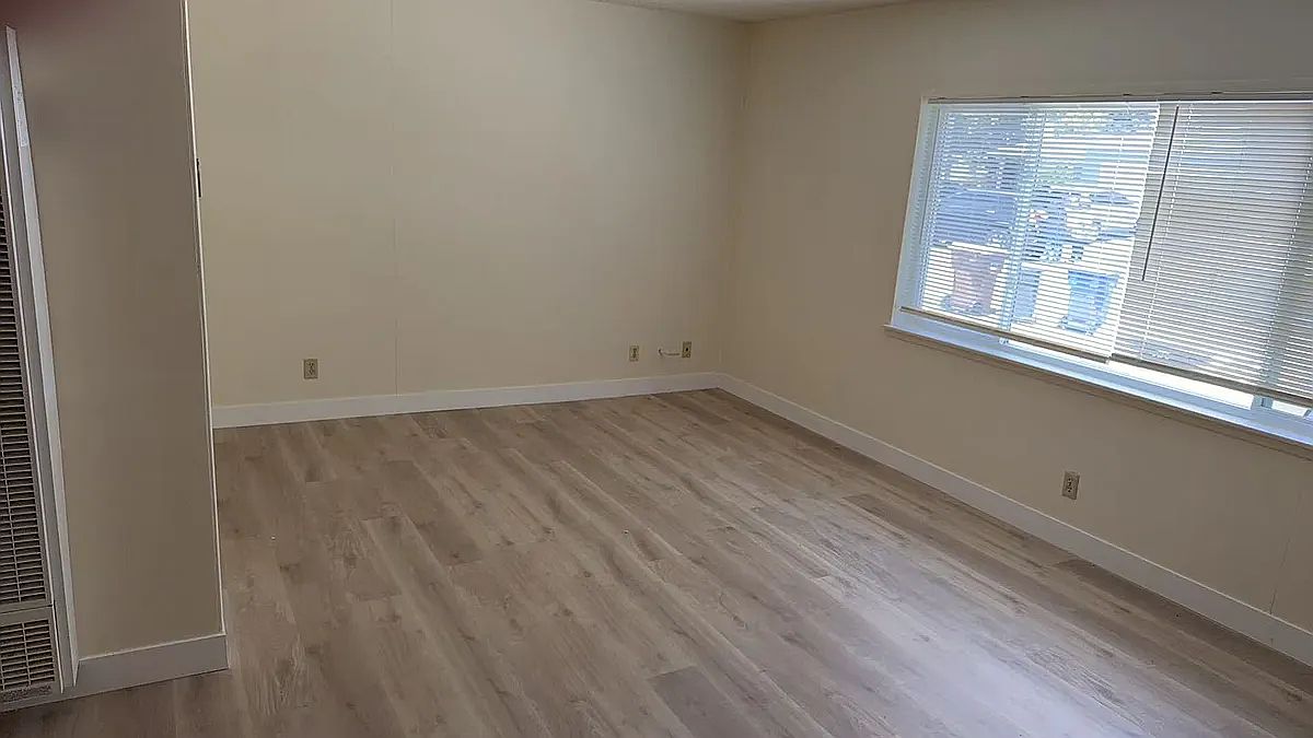 2225 Pamela Dr photo 5