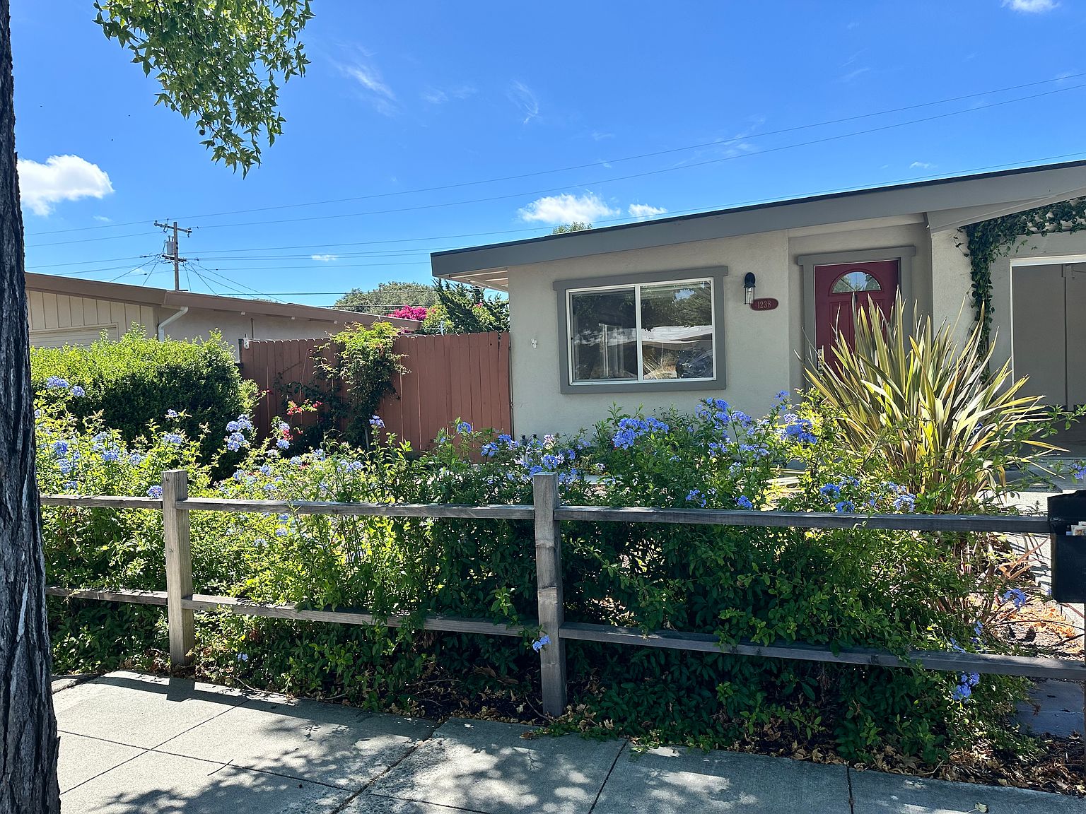 Houses on Pecos Way · Sunnyvale photo 3