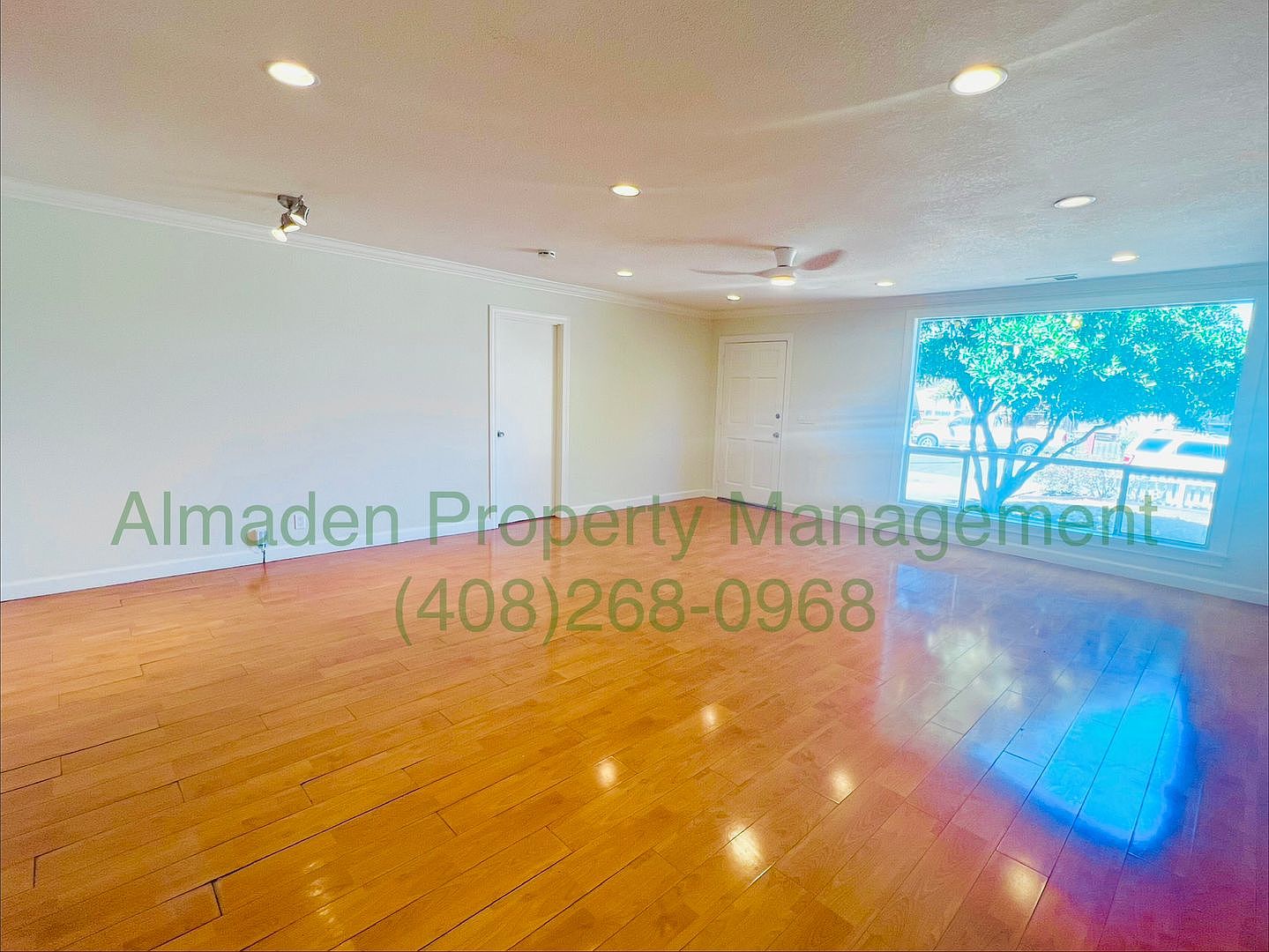 924 Almaden Ave photo 5