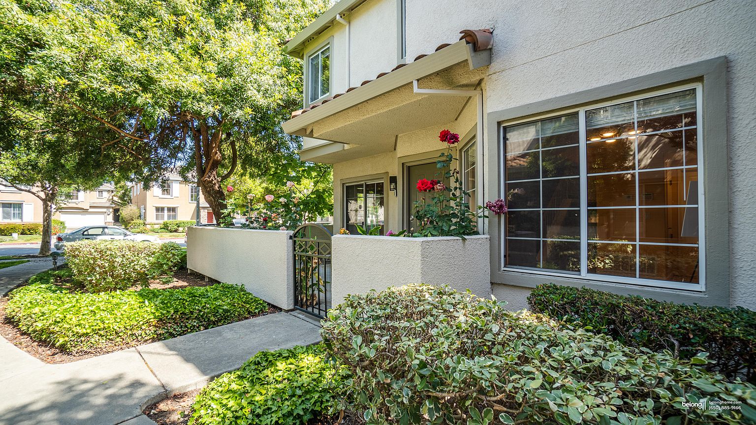 1171 Tea Rose Cir photo 5