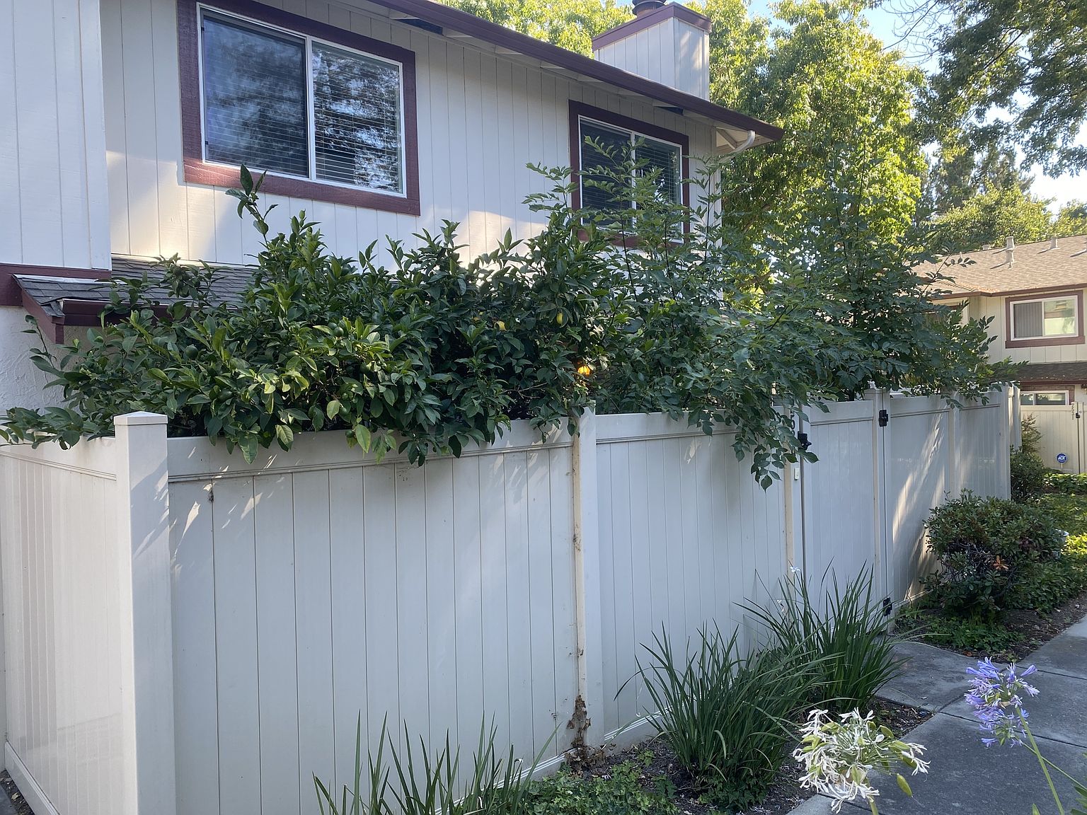 2BR/2BA Condo on Blue Rock Ct · San Jose
