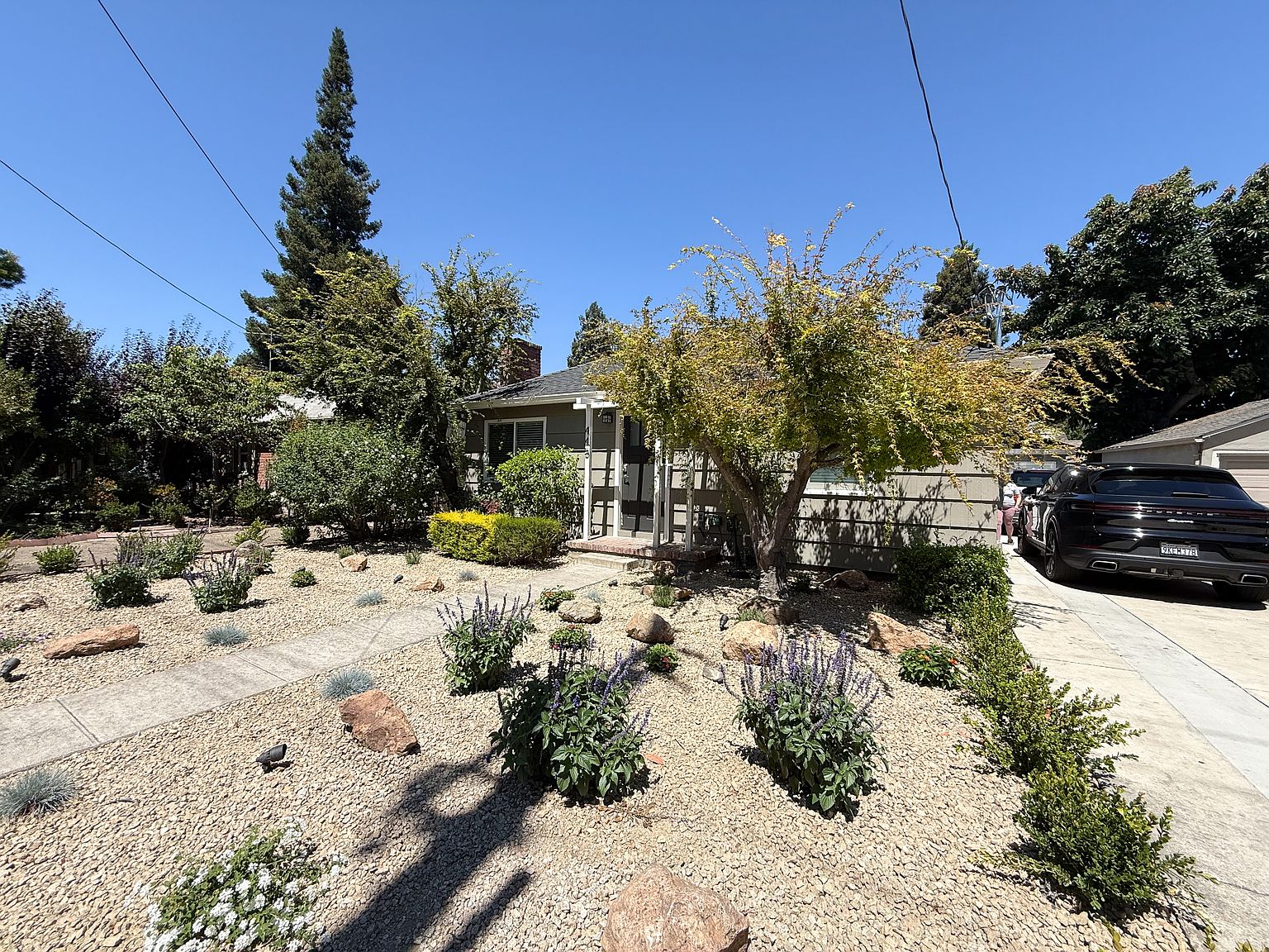 445 Alviso St photo 2