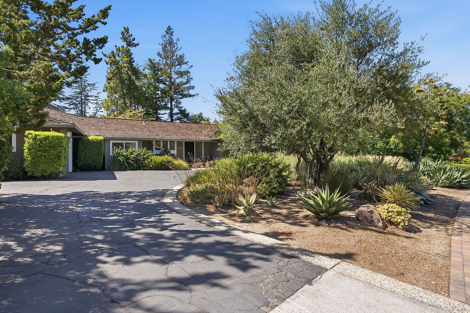 13565 Wendy Ln photo 4