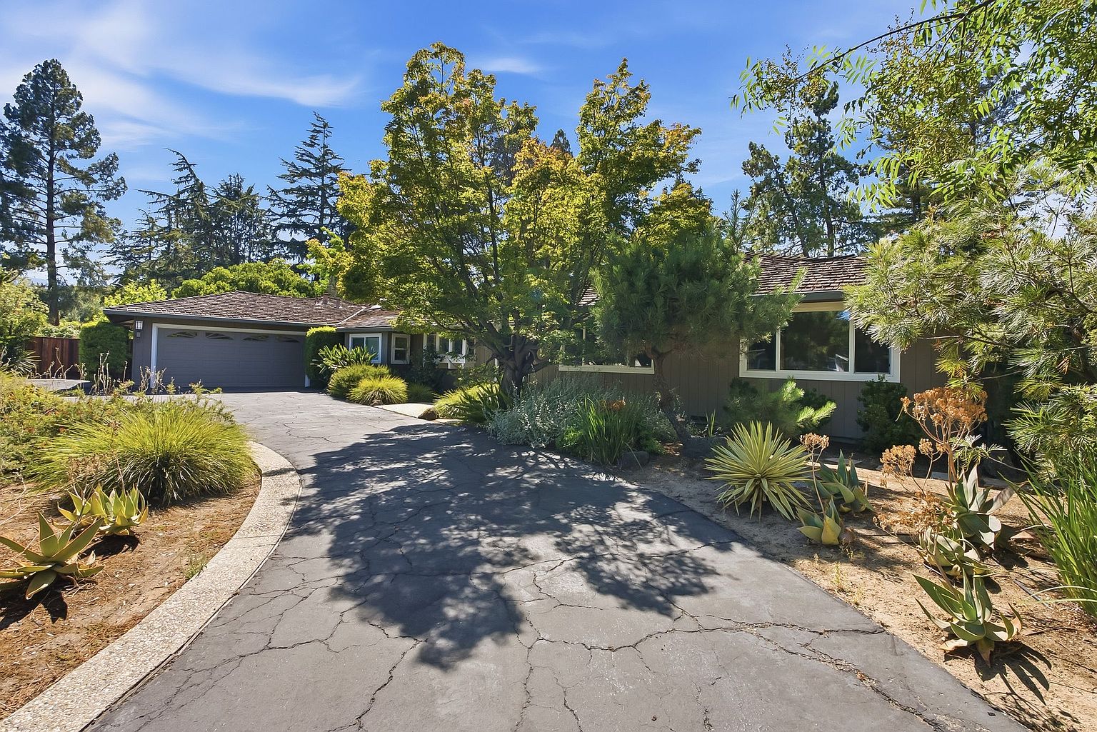 13565 Wendy Ln photo 3