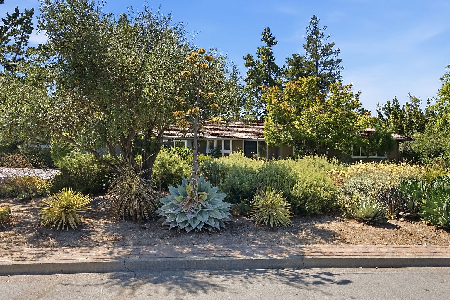 13565 Wendy Ln photo 5