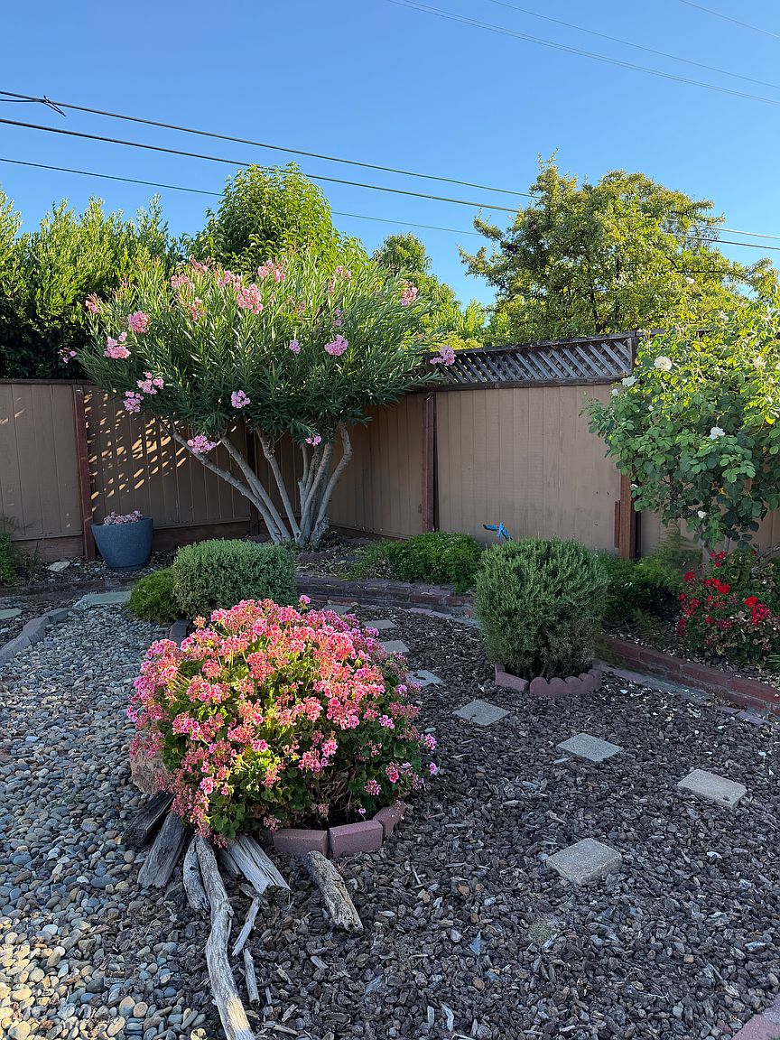 1808 Ronie Way photo 2