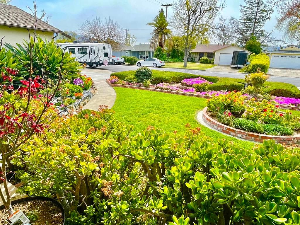 2628 Sutro Dr photo 3