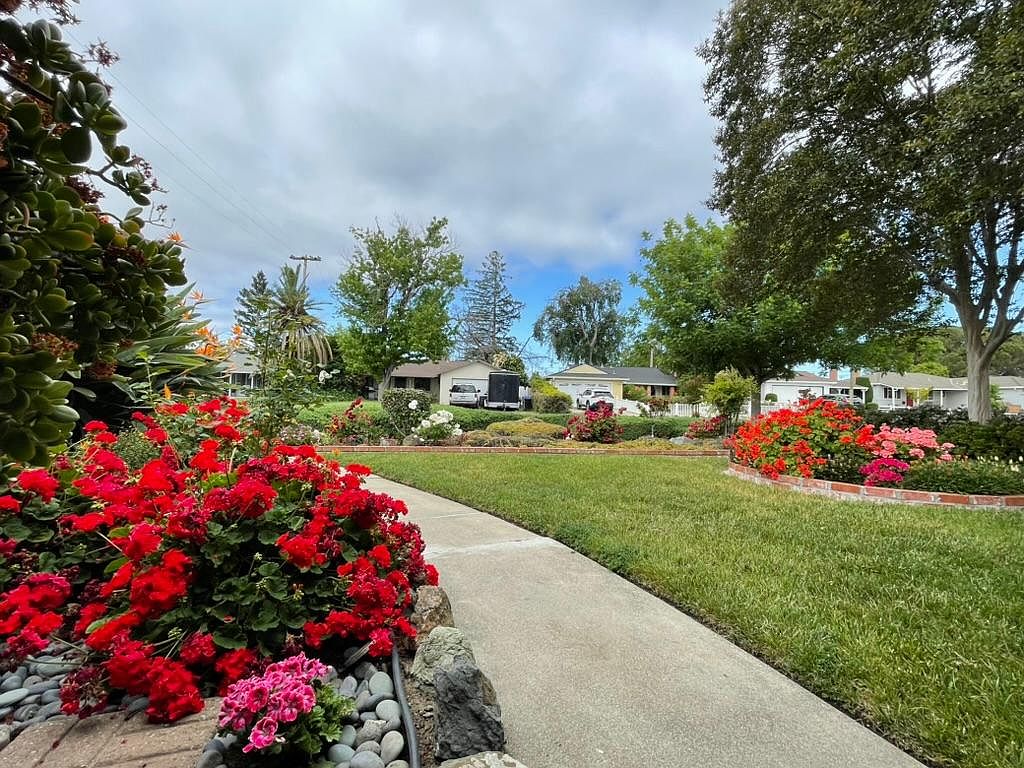 2628 Sutro Dr photo 4