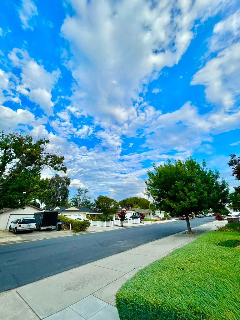 2628 Sutro Dr photo 2