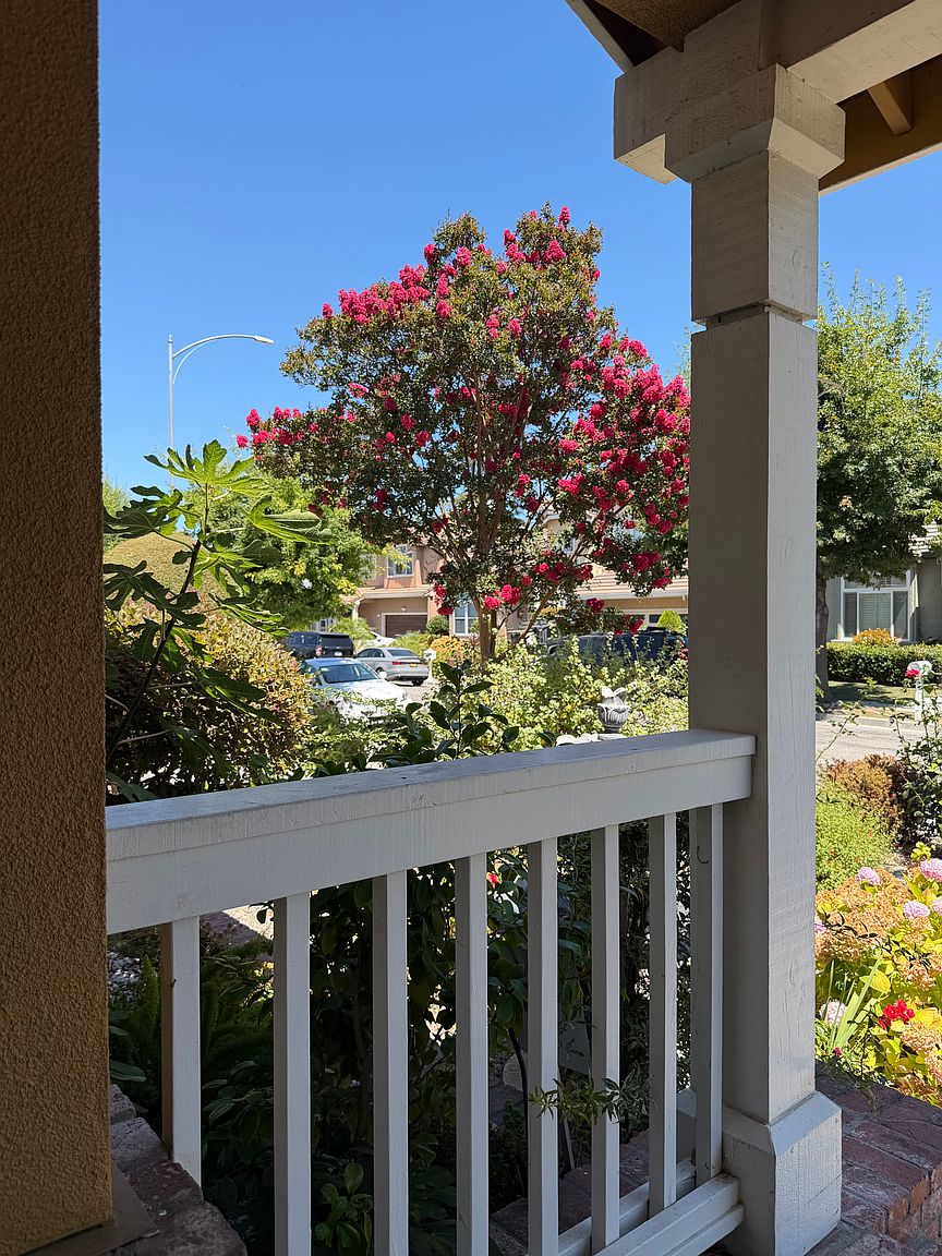 5615 Bellagio Dr photo 2