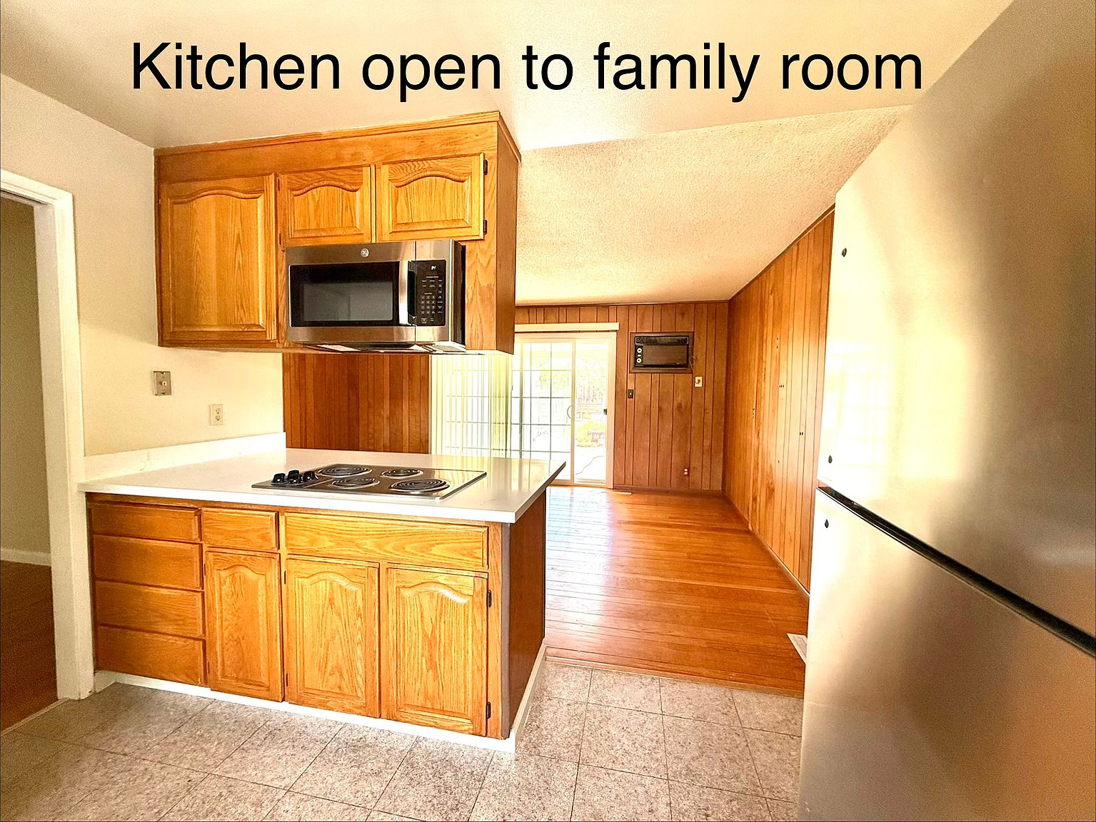 1540 Guadalajara Dr photo 2