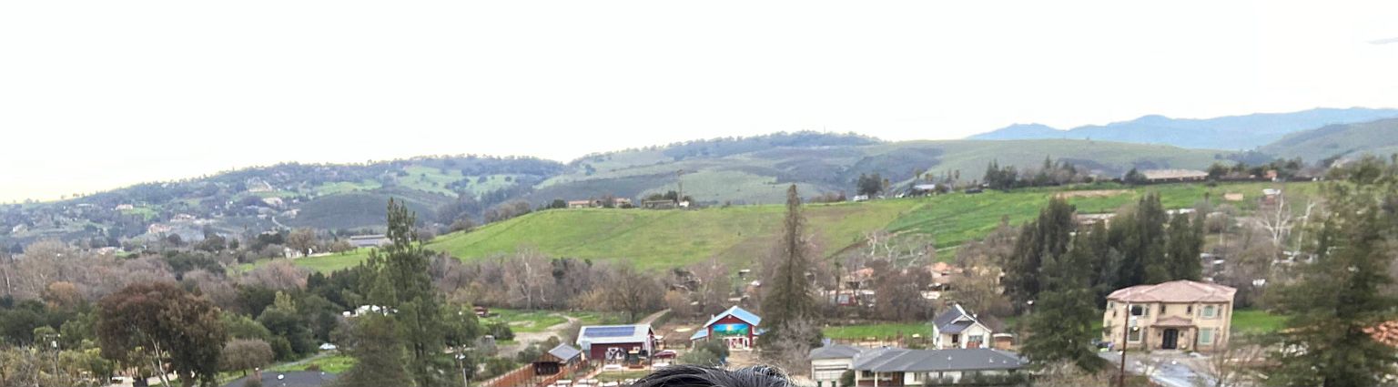 20181 Almaden Rd photo 4