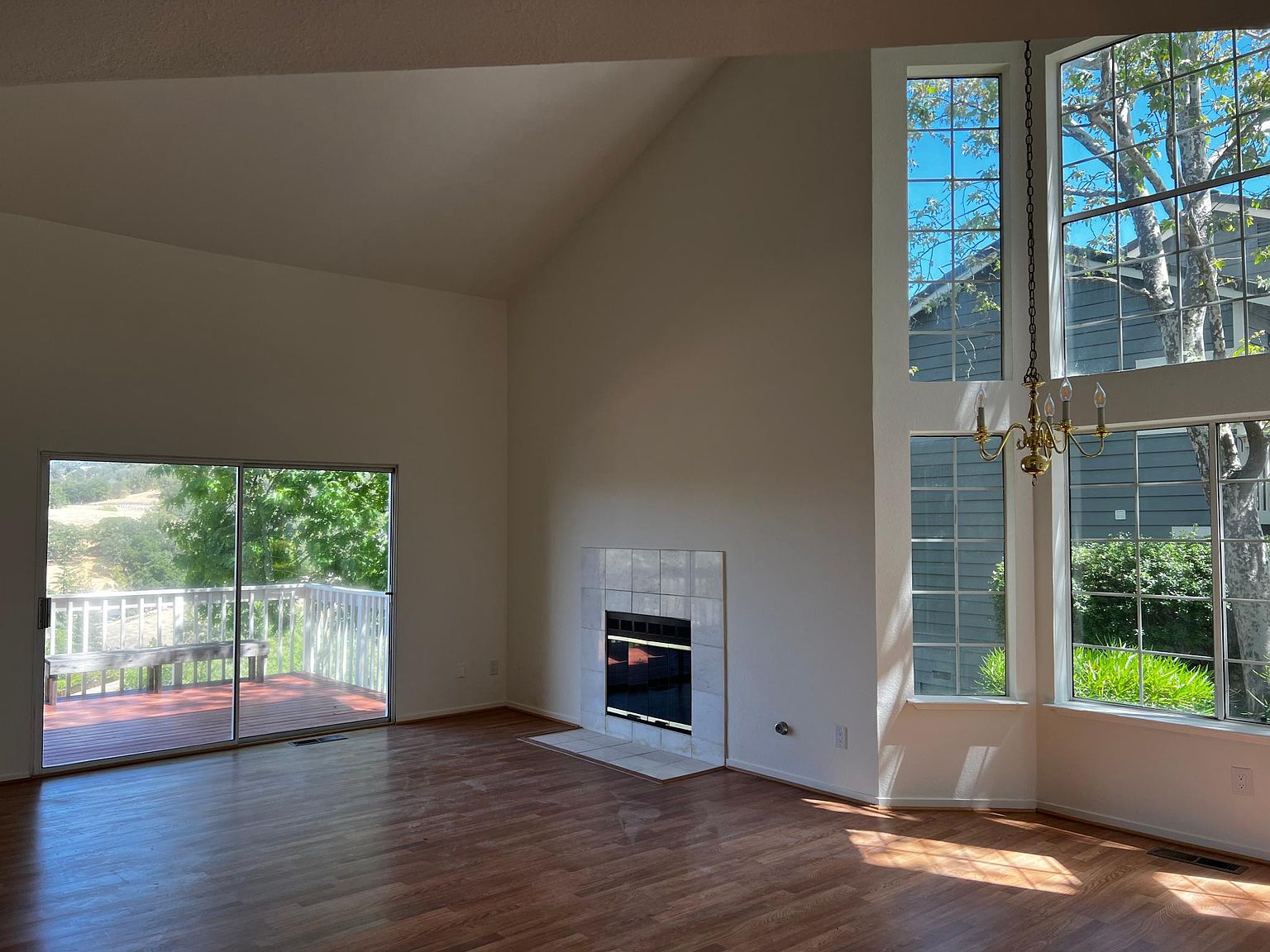 1236 Copper Peak Ln photo 3