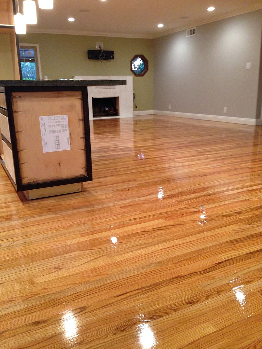 2529 Nube Ct photo 4