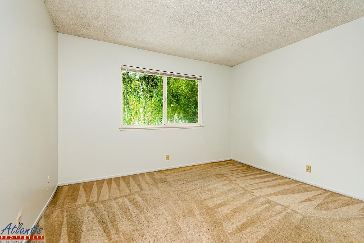 5486 Tyhurst Walkway photo 4