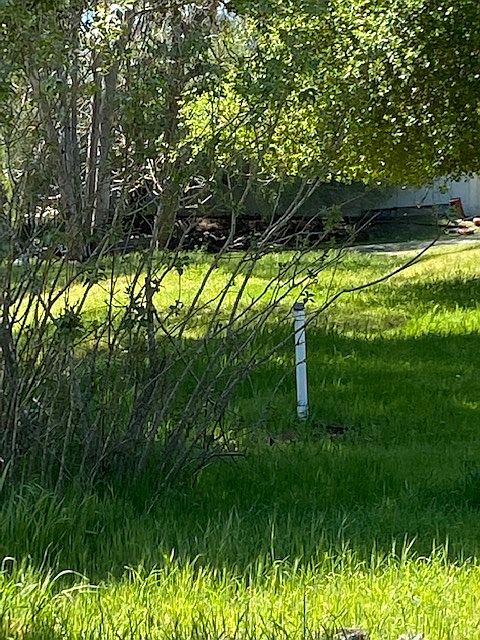 18450 Shadow Brook Way photo 4