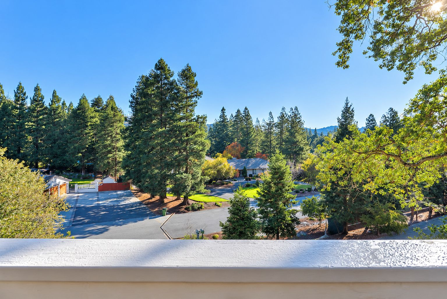 16669 Walter Breton Dr photo 3