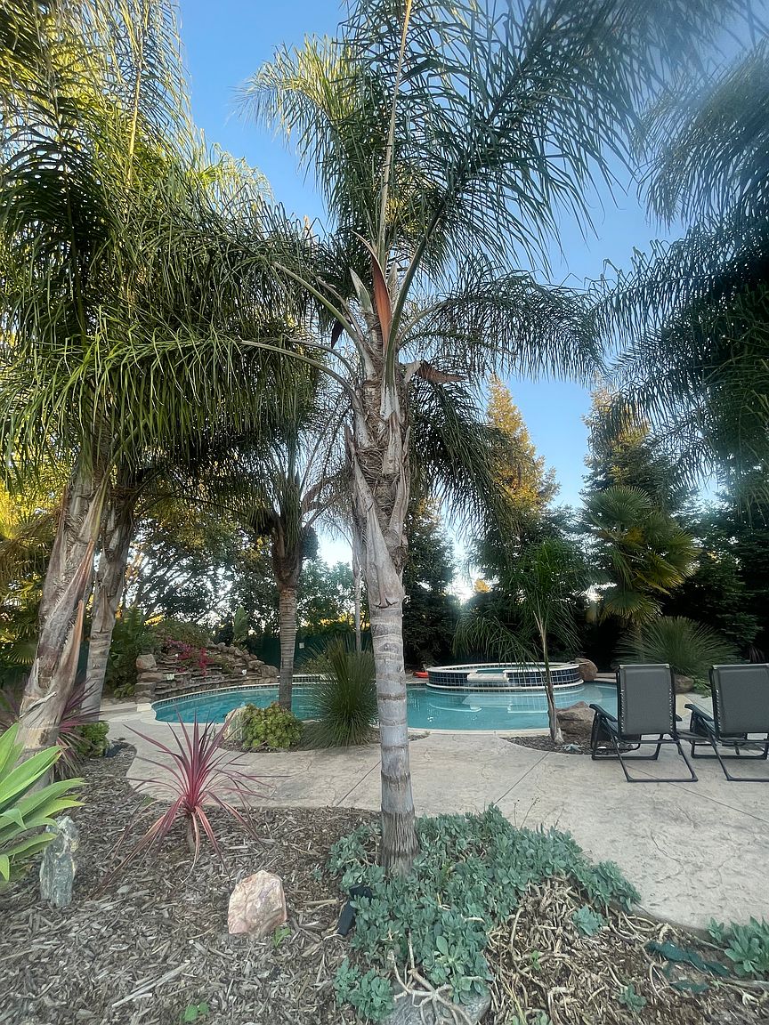 11630 Foothill Ave photo 4